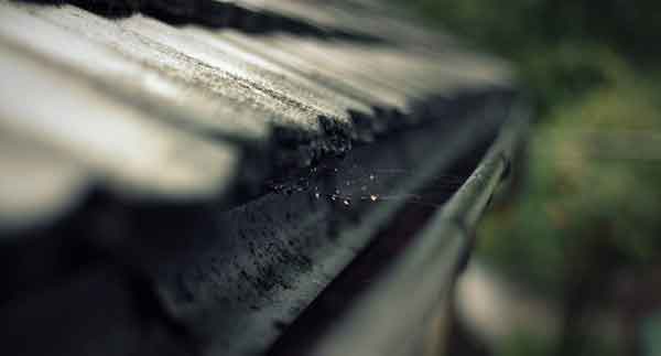 arizona heat causes roof damage but how can you prevent it